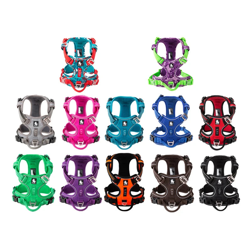 Truelove Front Nylon Dog Harness