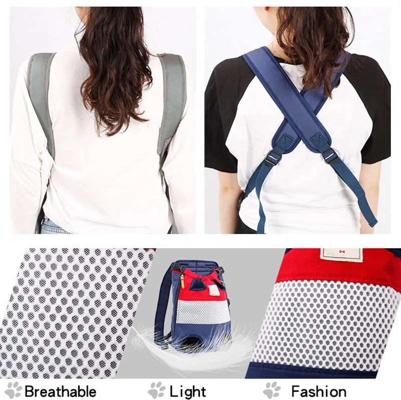 Comfortable pet carrier for the back