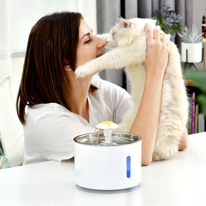 LED Pet Fountain