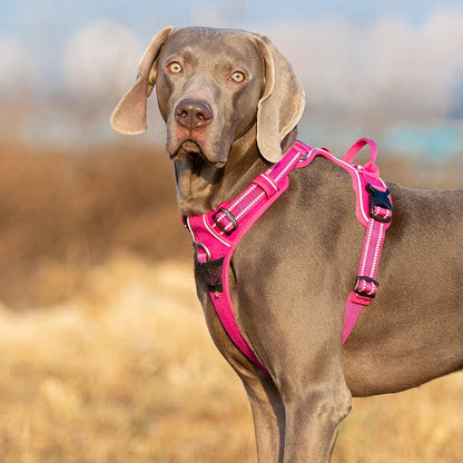 Truelove Front Nylon Dog Harness