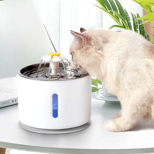 LED Pet Fountain