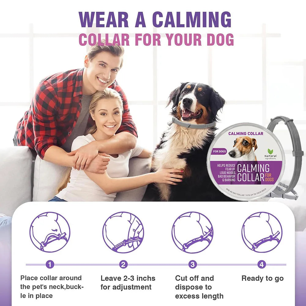 Dog Calming Collar