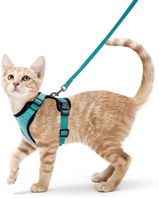 CatVenture Vest