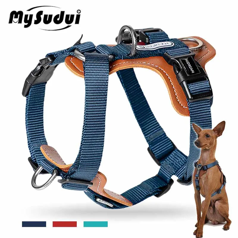 Easy-Wearing Harness for Stress-Free Walks