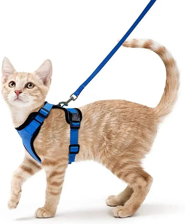 CatVenture Vest