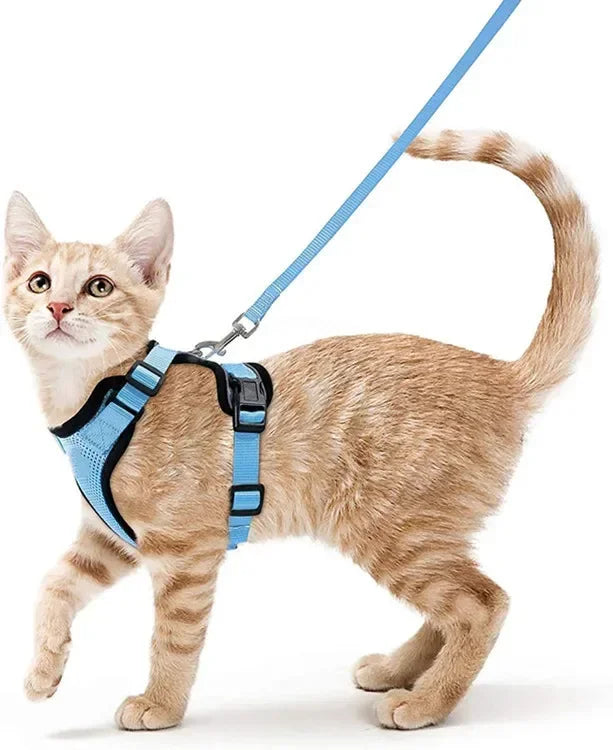 CatVenture Vest