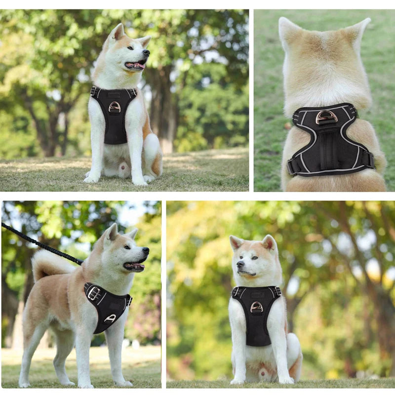 comfortable dog harness