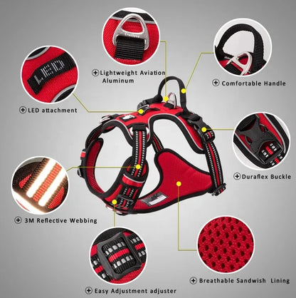 Truelove Pet Harness+Pet Leash Set