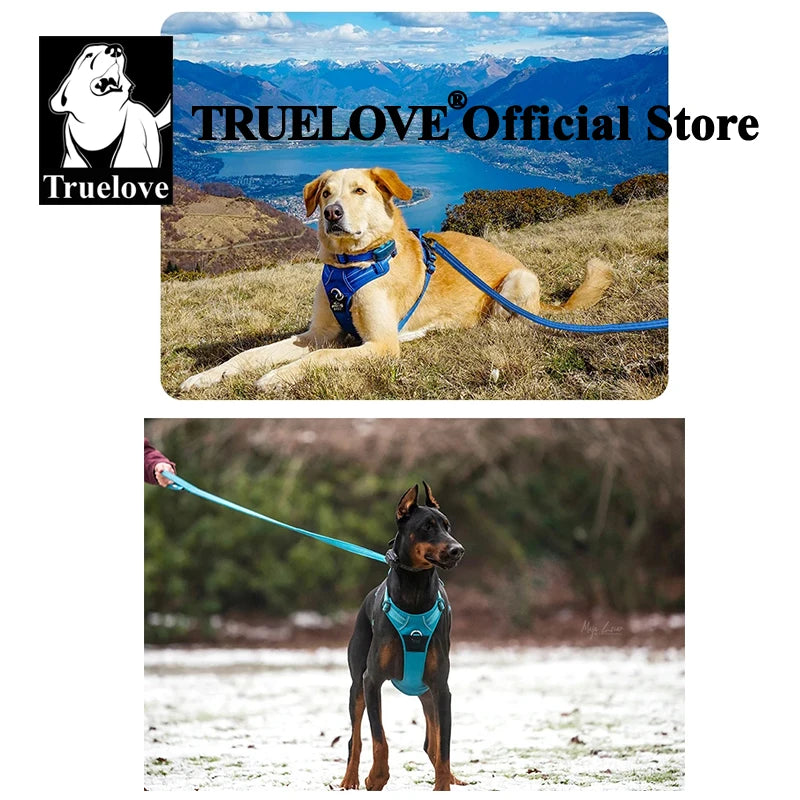 Truelove Pet Harness+Pet Leash Set