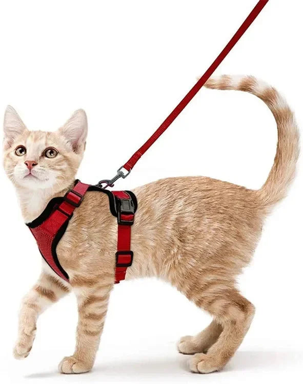 CatVenture Vest