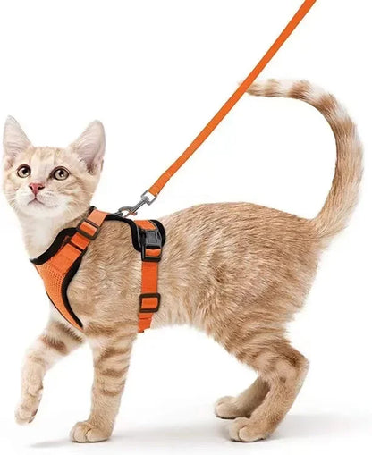 CatVenture Vest