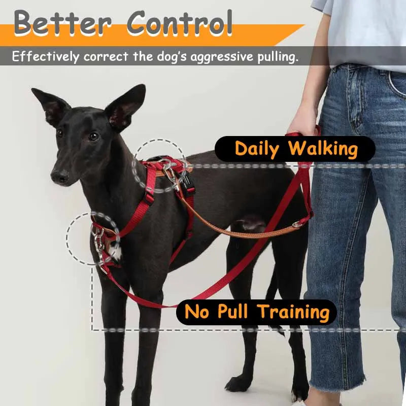 stop dog pulling