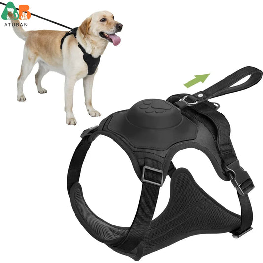 EasyWalk 2-in-1 Harness & Leash