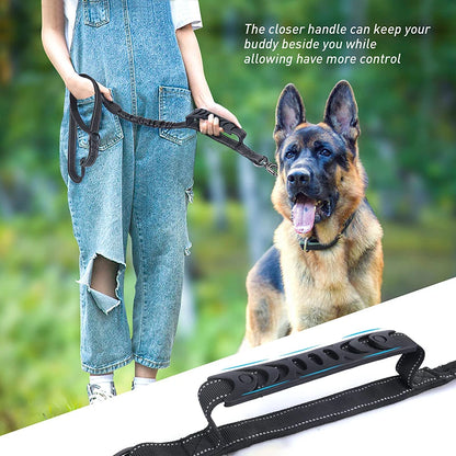 safe dog leash