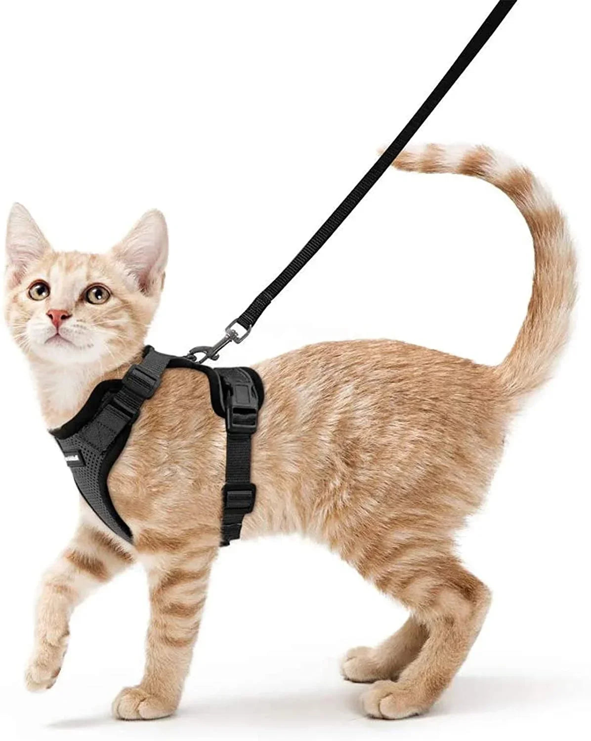 CatVenture Vest