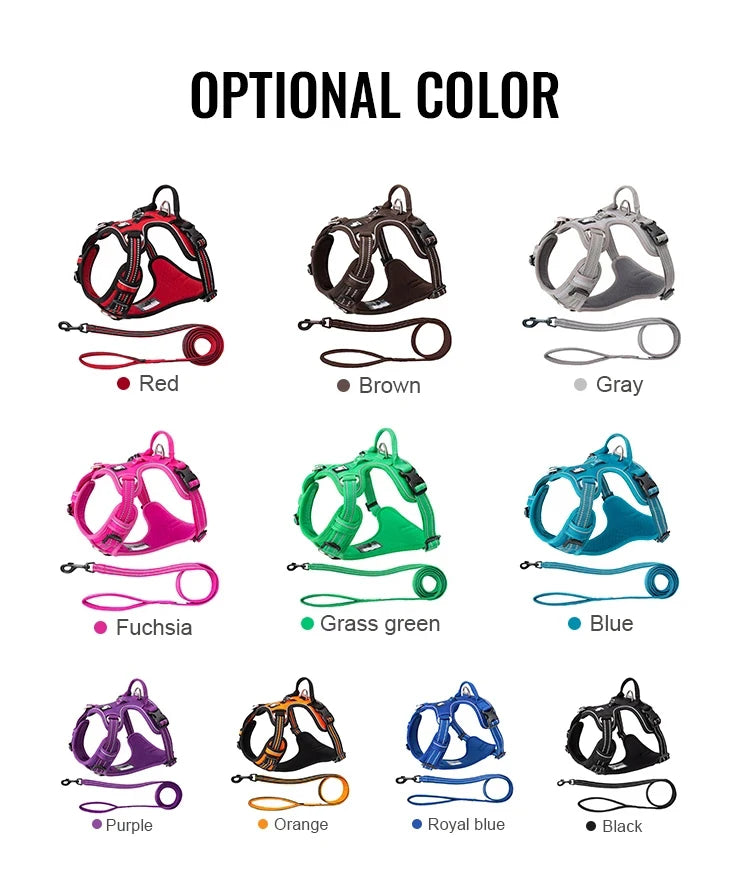 Truelove Pet Harness+Pet Leash Set