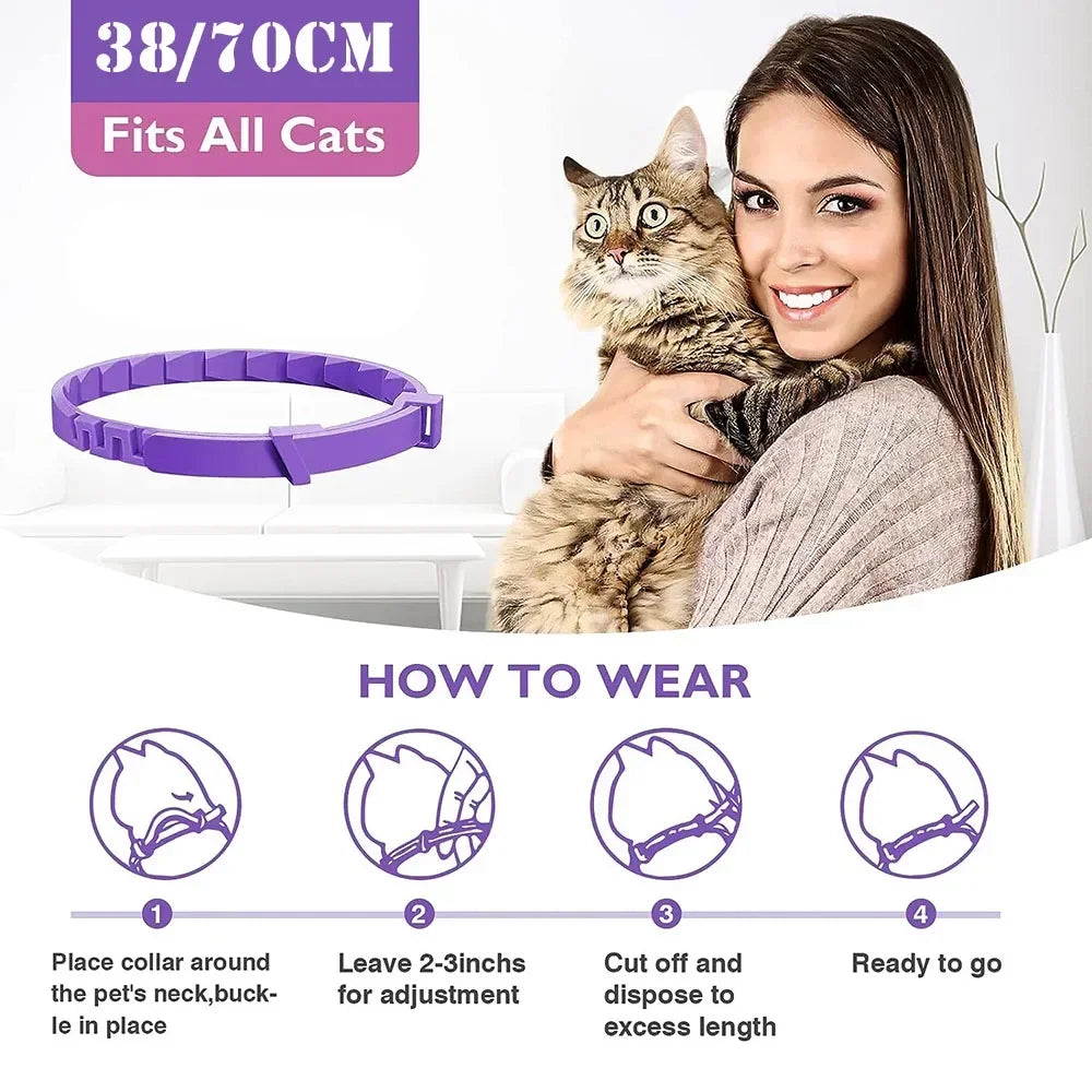 Kitten/Cat Calming Collar