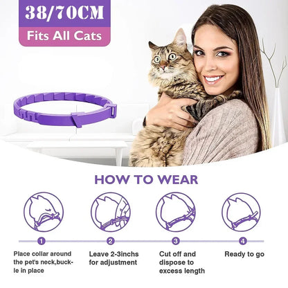 Kitten/Cat Calming Collar