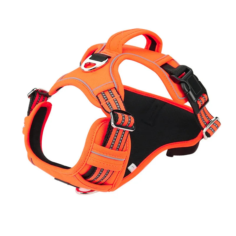 Dog Harness in orange colour