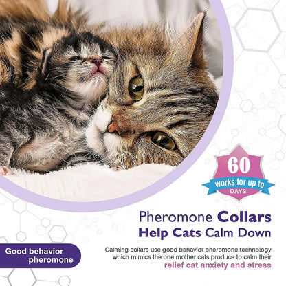 Kitten/Cat Calming Collar