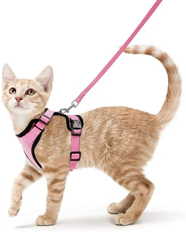 CatVenture Vest