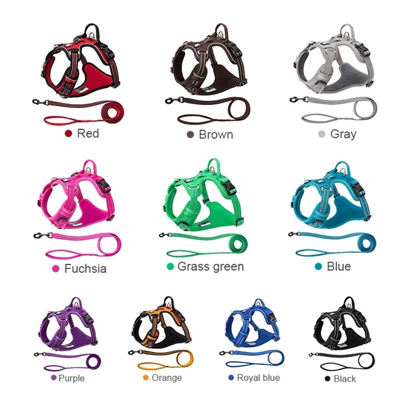 Truelove Pet Harness+Pet Leash Set