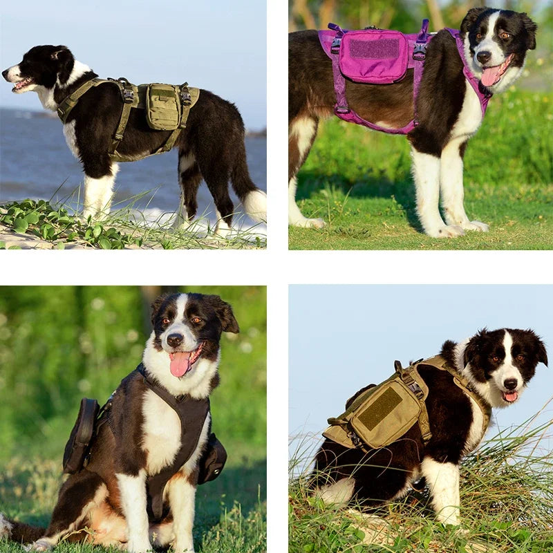 Durable and Functional Dog Harness