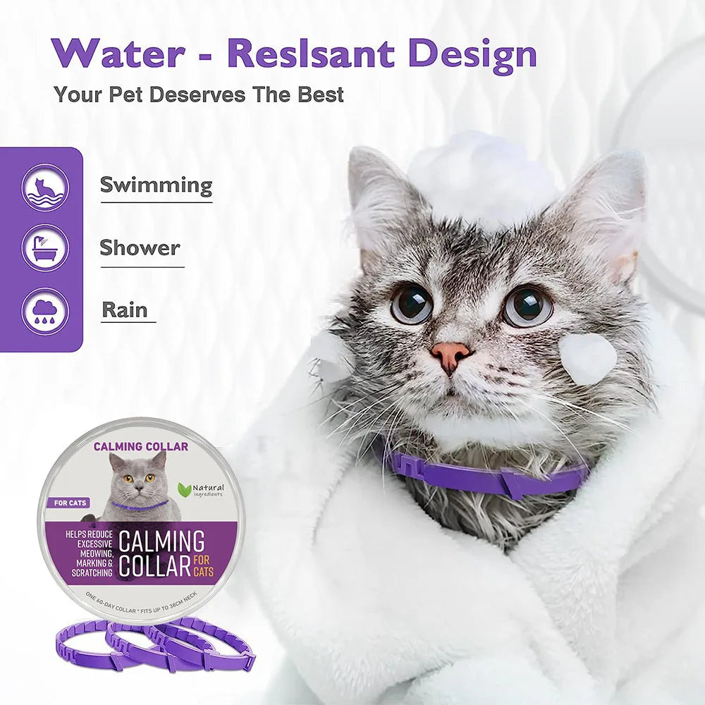 Kitten/Cat Calming Collar