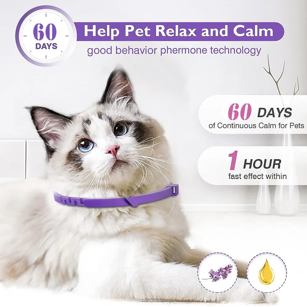 Kitten/Cat Calming Collar