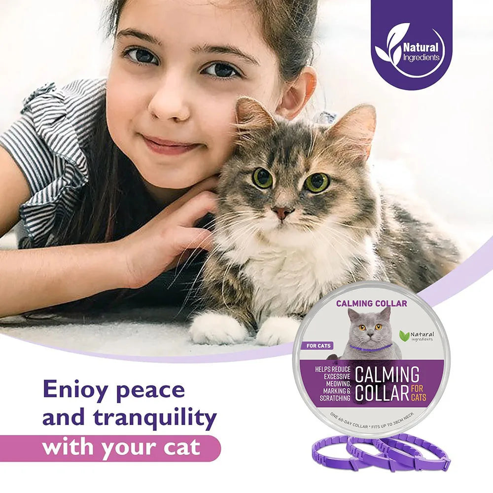 Kitten/Cat Calming Collar