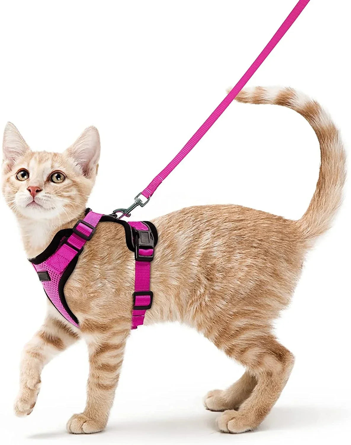 CatVenture Vest