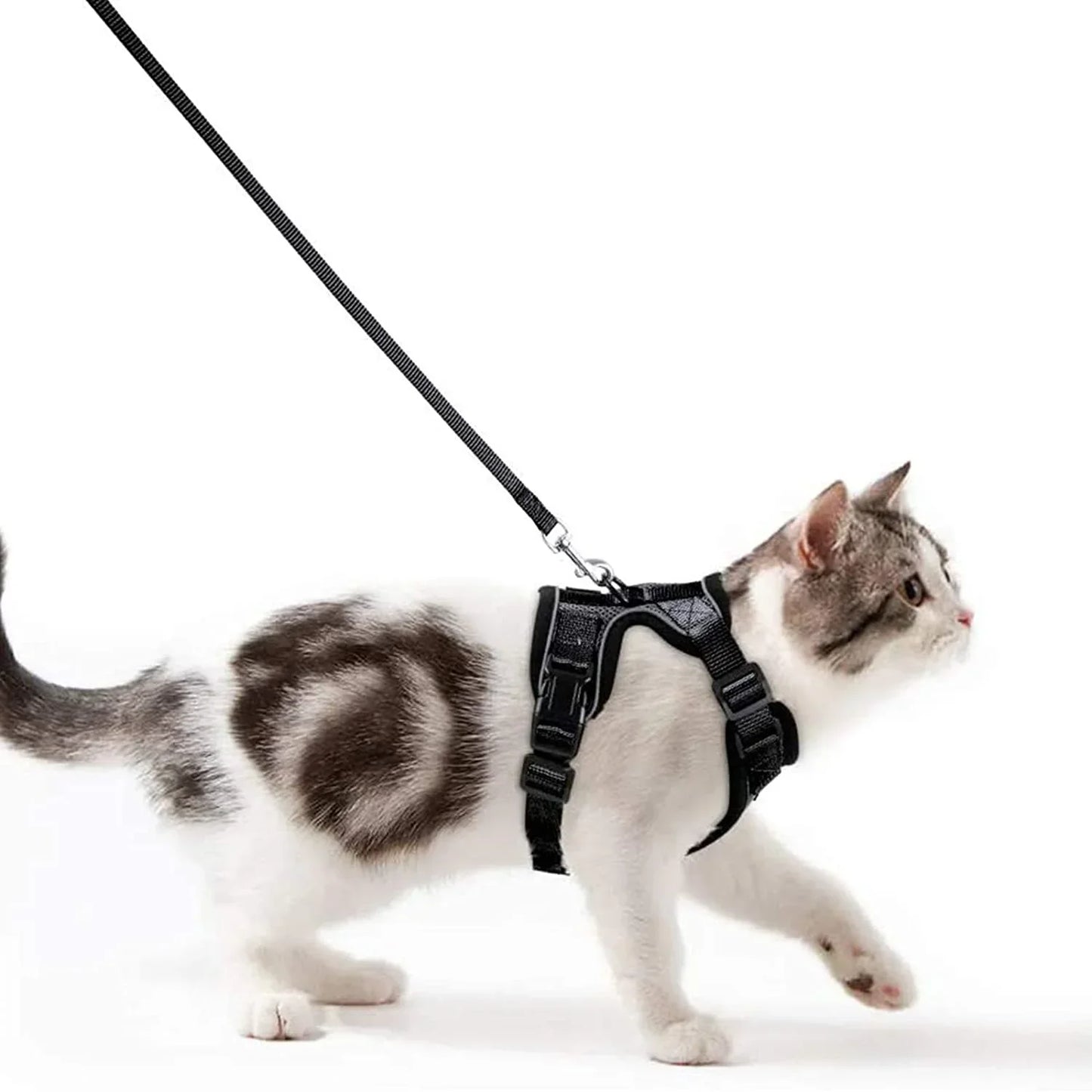 CatVenture Vest