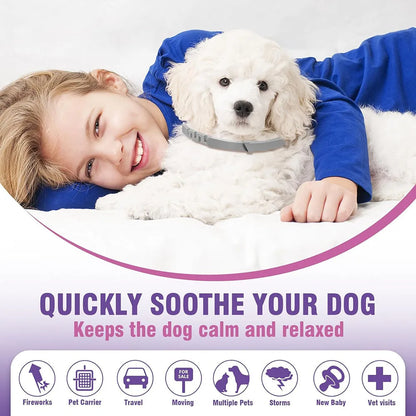 Dog Calming Collar