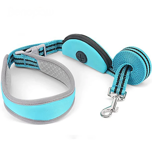 Reflective Dog Leash for Safe Night Walks